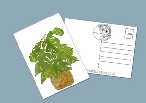 Botanicals Postcard Pack set of 6